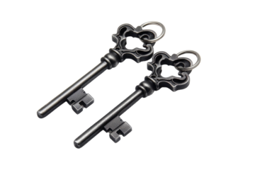 House key pair with metal house shaped keyring isolated on white background. PNG


