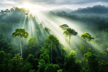 A person soaring over a rainforest canopy, their silhouette framed by beams of sunlight filtering through the trees