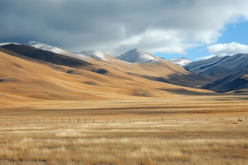 Vast Desert Landscape with Scattered Tumbleweeds and Mountains Under Dramatic Cloudy Sky Featuring a Unique Natural Beauty of Arid Regions