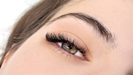 Obraz premium Close up of eye with eyelash extensions ,beauty salon treatment