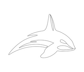 Obraz premium Continuous one line drawing of orca whale. Single line drawing illustration of whale killer fish. Logo,symbols and design style Concept vector art. Doodle line illustration.