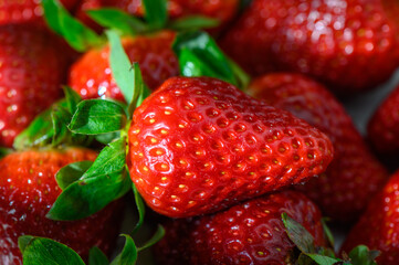 Freshly picked ripe strawberries glisten with dew in a vibrant summer garden under the warm sun