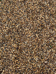 small pebble background Naturally bright colors There are pieces of grass mixed in