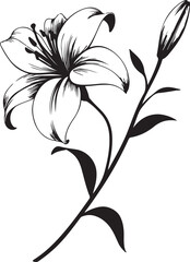 Isolated black flower icon Vector, black flower Silhouette,black flower icon set, black flower for logo,color black flower Vector illustration, Vector Graphic, EPS 10 , clip art work