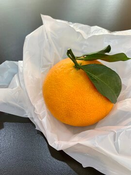 An ungly orange