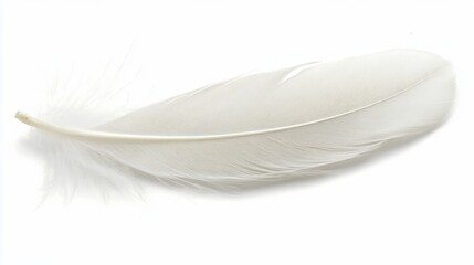 Obraz premium Single White Feather on White Background