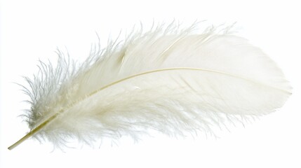 Obraz premium Single White Feather on White Background