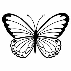 butterfly tattoo design