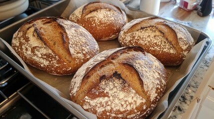 Freshly Baked Danish Rye Bread Loaves with Flour Dusting on Baking Tray in Warm Kitchen Setting with Natural Light