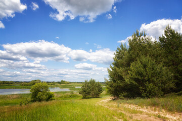 Landscape with the road on the sunny summer day