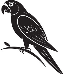 Isolated black bird icon Vector, black bird Silhouette,black bird icon set, black bird for logo,color black bird Vector illustration, Vector Graphic, EPS 10 , clip art work