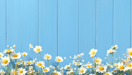 Fototapeta premium Daisey floral arrangement with a wood background painted blue and copy space