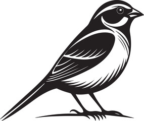 Isolated black bird icon Vector, black bird Silhouette,black bird icon set, black bird for logo,color black bird Vector illustration, Vector Graphic, EPS 10 , clip art work