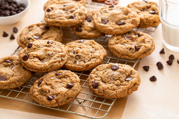 Chocolate chip cookies with pecan nuts, freshly baked cookies on a cooling rack