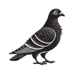 Silhouette pigeon vector illustration design. 