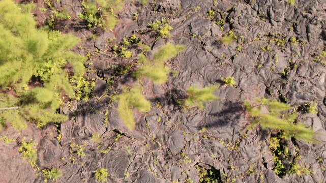 Aerial view of lava flows, on the lava route on Reunion Island, Sainte Rose