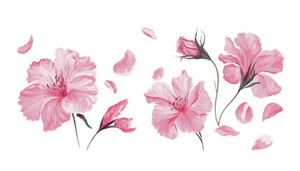 Naklejka premium Delicate Pink Flowers in Various Stages of Blooming