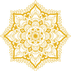 Beautiful flower art and mandala vector design