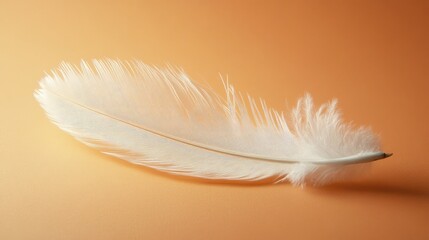 Obraz premium Delicate white goose feather resting on a warm orange background showcasing natural softness and elegance in composition.