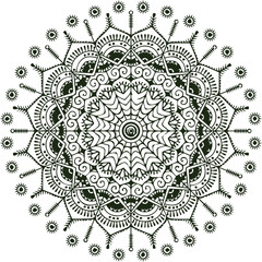 Beautiful flower art and mandala vector design