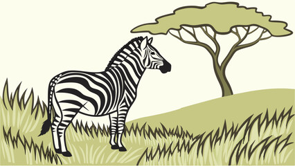 zebra with green grass