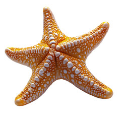 Plastic Animal Toys starfish 