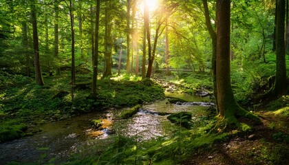 Obraz premium lush green forest scene with sunlight filtering through trees and gentle stream in the background