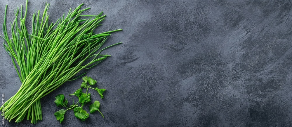 Poster fresh green chives and cilantro on dark stone background with abundant copy space for text in a pano