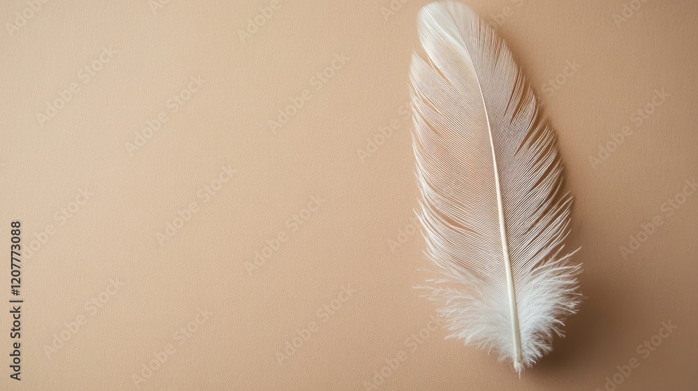 Poster delicate goose feather resting on a soft beige background showcasing natural textures and minimalist