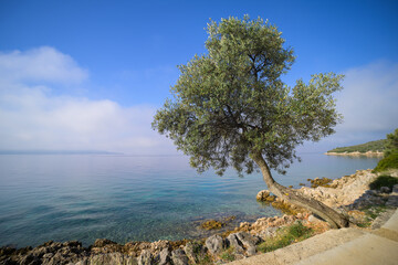 The coast near Cres on a sunny day
