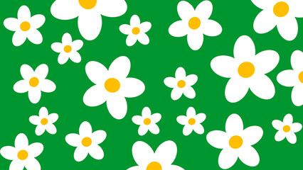 Daisy green background 