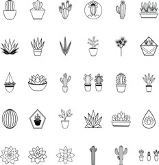 Succulents, Cacti, and Potted Plants A Line Art Collection