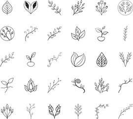 Botanical Line Art Minimalist Leaf, Branch, and Floral Designs