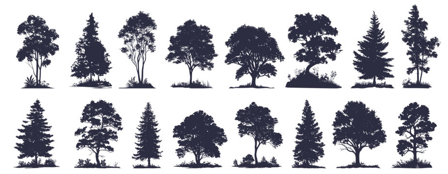 Tree silhouettes. Detailed woodland oak maple deciduous evergreen pine trees, forest landscape element set vector illustration