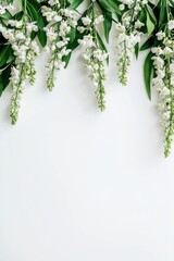 green leaves on a wooden background