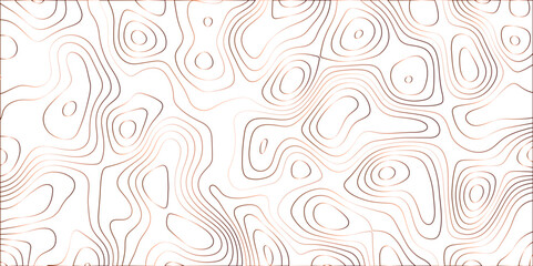 Topographic canyon geometric map relief texture with curved layers and shadow. abstract White background with a beautiful pattern, Topographic contour lines vector map seamless pattern vector.