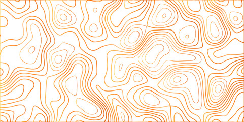 Topographic canyon geometric map relief texture with curved layers and shadow. abstract White background with a beautiful pattern, Topographic contour lines vector map seamless pattern vector.