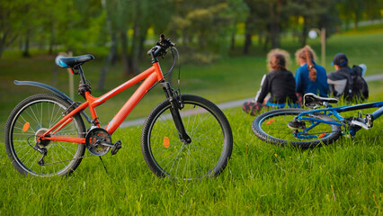 Two mountain bikes parked on a grassy hill with blurry people sitting in the background enjoying...