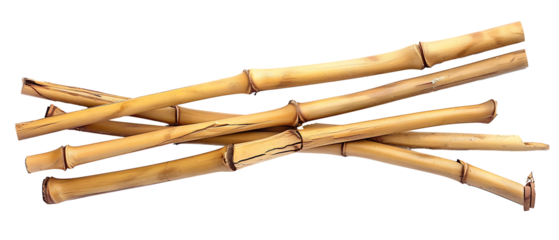 bamboo sticks isolated on a transparent background 