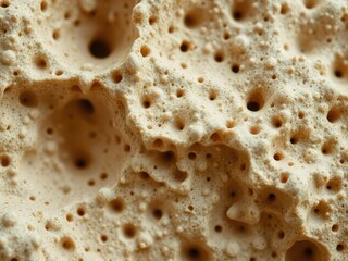 Close-up of a porous texture background with natural patterns formed by tiny holes and bumps, material, closeup