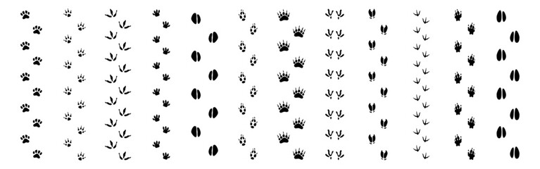 Wildlife beasts footprints trails. Vector lines of animals footmarks. Paws prints set. Cow and bear, goat and sheep, avian creatures and deer, fox and wolf. Diversity of footsteps of fauna