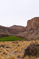 Vertical image of Vista on Rio Pinturas where famous rock paintings of handprints and animals are located. Location: Cueva de las Manos, UNESCO World Heritage Site, Patagonia, Argentina