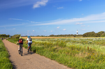 Cyclists on cycling path, Wenningstedt, Sylt, Schleswig Holstein, Germany, Europe