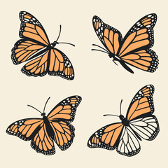 set of butterflies isolated on white