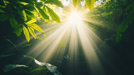 vibrant tropical rainforest with sunlight streaming through lush foliage, creating serene and peaceful atmosphere. interplay of light and leaves evokes sense of tranquility and connection to