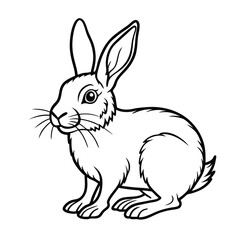 rabbit and carrot on white background 