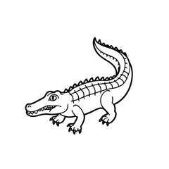 crocodile isolated on white