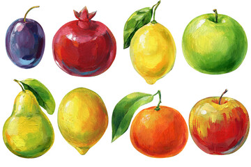 Painting ripe fruits isolated, hand-painted pear, plum, mandarin, apple, lemon and pomegranate. Colorful acrylic fruit