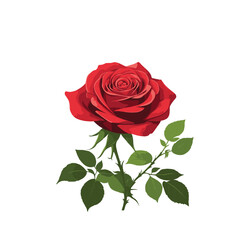 Naklejka premium Vector Red Rose with Foliage