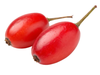 A ripe barberry fruit isolated on a transparent background